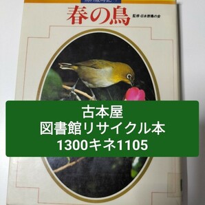 【図書館除籍本】鳥の歳時記1 春の鳥 日本野鳥の会【図書館リサイクル本】【除籍図書】