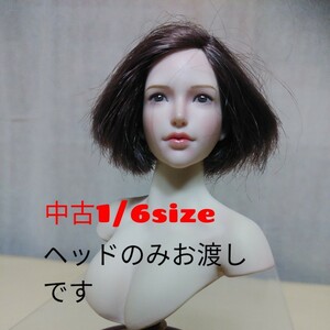 中古1/6size美少女ヘッドのみお渡しです★ファイセンTBleagueのシームレスアクションフィギュア素体用です