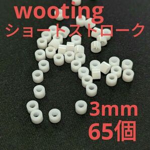 wooting60he対応 ショートストローク化用スペーサー 3mm 65個