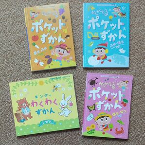 かんがえるポケットずかん3冊　キンダーわくわくずかんしぜん　ずかん　本