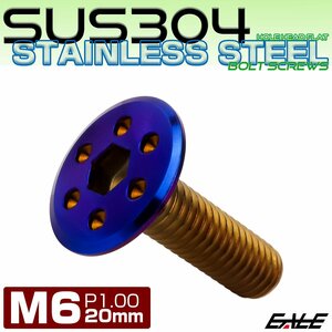 ステンレスボルト M6×20mm P1.0 ホールヘッド フラット 六角穴付 ボタンボルト SUS304 焼きチタンカラー TR0980