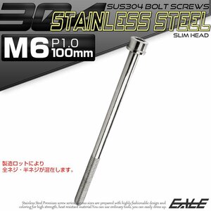 キャップボルト M6×100mm P1.0 六角穴付きボルト スリムヘッド シルバー カスタムボルト ステンレス製 TB0207