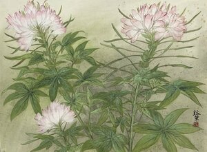 Art hand Auction 正宗作品！手绘山水画, 水彩绘画, 山本十香的《菊花》。尺寸：垂直 610 毫米 x 水平 725 毫米, 绘画, 日本画, 花鸟, 飞禽走兽