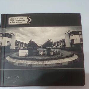 noel gallaghers high frying birds council skies 輸入盤2CD