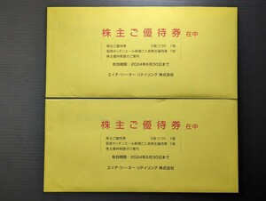 【送料無料】エイチツーオーリテイリング 株主優待券5枚綴り1冊×2セット 有効期限2024年6月30日 エイチ・ツー・オーリテイリング H2O