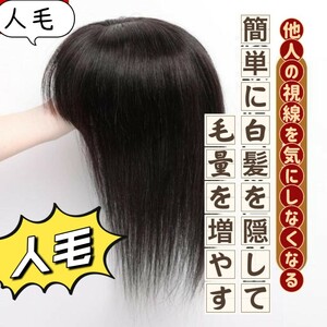 新品 ウィッグ　人毛　30㎝　簡単　お手軽　白髪隠し　薄毛隠し　少女の髪