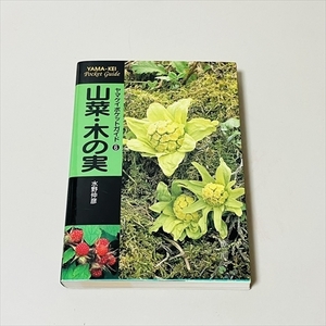 ヤマケイポケットガイド6/山菜・木の実/水野仲彦/2005年14刷/山と渓谷社