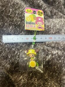  chopper man beads strap Miyazaki limitation Hyuga city summer mandarin orange 