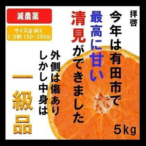 5kg【産地直送】高いコスパ！数量限定！甘い 清見 きよみ 有田みかん