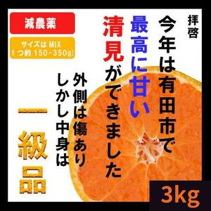 【産地直送】高いコスパ！数量限定！甘い 清見 きよみ 有田みかん　3ｋｇ