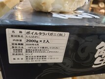 超特大 ボイル たらば9L、1肩2.3キロ前後。_画像3