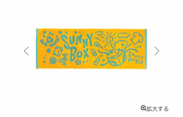 【完売商品】SUNNY BOX限定 Saucy Dog サウシードッグ グッズ タオル