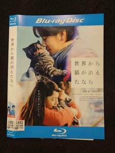 0017051 rental UP*BD world from cat . disappeared if 26298 * case less 