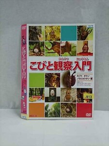 ○017177 レンタルUP☆DVD こびと観察入門 カブト タケノ ノミビョウタン編 1879 ※ケース無