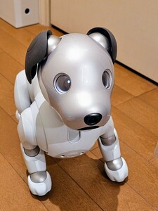 SONY アイボ aibo ソニー 犬型 ロボット ERS-1000 本体+充電器+ボール+アイボーン