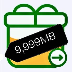 パケットギフト 約10GB（9,999MB）★