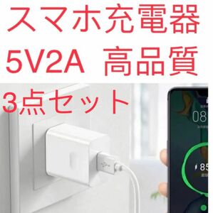 新品 APPLEアップル用 ANDRIOD用充電器/充電ACアダプター5V2A① 3点セット