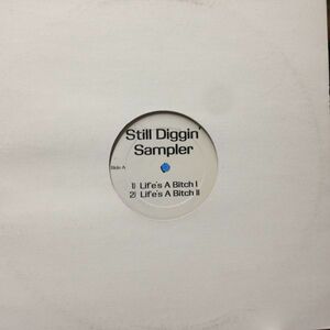 12inchレコード　BUCKWILD / STILL DIGGIN' SAMPLER