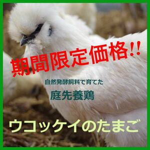 【期間限定】烏骨鶏の卵　8個　平飼い　有精卵　ウコッケイ