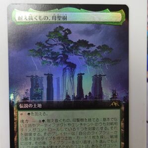 MTG　耐え抜くもの、母聖樹　拡張アート　Foil