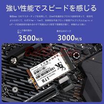新品256GB (M.2 2242 NVMe SSD) 256G PCIe Gen3x4 内蔵SSD 5ヶ年間保証 未使用_画像2