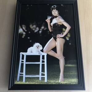 kj ★額装品★ 由美かおる グラビア セクシー 美乳 貴重写真 A4サイズ額入り ポスター風デザイン 水着 下着 美脚