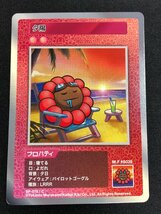 Murakami Flowers 108フラワーズ　 Collectible Trading Card　村上隆　トレーディングカード　夕陽　コモン(C)_画像1