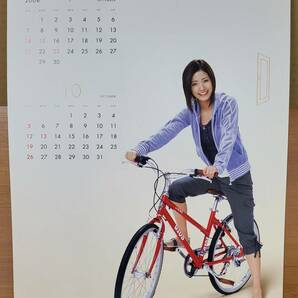 【ポスターカレンダー】上戸彩 2008年 アパマンショップカレンダー A3サイズ 未使用 + 使用済み 8枚組 2セットの画像7