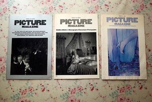 72070/Picture Magazine 3冊セット アメリカ カリフォルニア発 フォト マガジン 1980年 写真誌 ニコラス・ニクソン ダイアン・アーバス