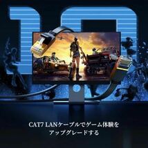 LANケーブル cat7 3m ブラック 黒 カテゴリー7 フラットケーブル 高速_画像5