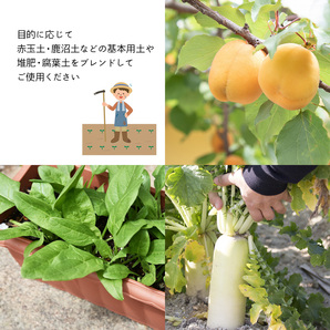 国産 高品質 黒土 500ｍL 家庭園芸用 基本土 家庭菜園 草花用 園芸用 園芸 基本土 基本用土の画像4