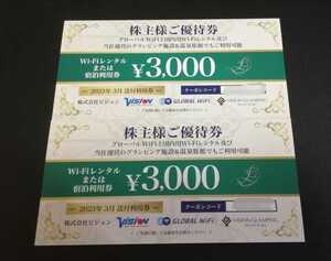 【コード通知】ビジョン株主優待6000円分(3000円券×2枚)有効期限2024年3月31日まで♪グローバルWi-Fiレンタル、グランピング＆温泉旅館