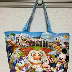 ディズニーランド パークデザイン トートバッグ 中古 訳あり3枚目写真参照 大容量 肩掛けok