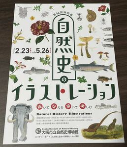 【自然史のイラストレーション　描いて伝える 描いて楽しむ】大阪市立自然史博物館 2024 展覧会チラシ