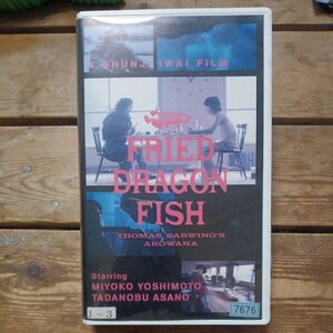 FRIED DRAGON FISH VHS rock .. two Asano Tadanobu Yoshimoto Miyoko rental record 