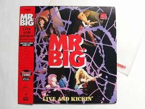 MR. BIG LIVE AND KICKIN'