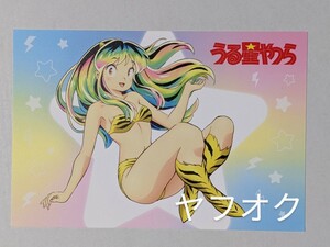 アニメジャパン限定 うる星やつら ラムちゃん ポストカード AnimeJapan