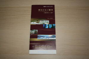 【大黒屋】西武ホールディングス株主優待券冊子１冊 1000株以上 共通割引券 等 有効期限 2024/5/31迄 ※内野指定席引換券は付属致しません