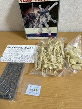 【未組立品】B-CLUB 1/100 クロスボーンガンダムX-1 レジンキャストキット_画像3