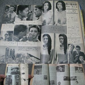 FSLe1964/08:女性明星/美空ひばり&小林旭/三田佳子/藤由紀子/水着/下着/滝映子/浅丘ルリ子/野際陽子/緑魔子/西田佐知子/梅宮辰夫＆榊ひろみの画像10