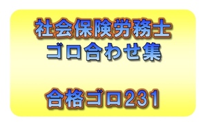 ◆一発合格◆社会保険労務士_ゴロ合わせ集 231個◆効率的勉強法◆社労士、語呂合わせ