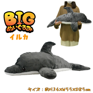 BIGぬいぐるみ イルカ リアル ぬいぐるみ ふわふわ BIG ラッピング不可 04