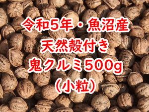 令和5年★新潟・魚沼産★天然殻付き鬼クルミ★500g★小粒★国産鬼胡桃