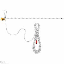 Petzl Grillon Adjustable Lanyard 20m　アーボリスト_画像1