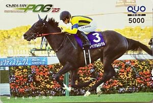 最優秀2歳牡馬 ジャンタルマンタル JRA-VAN POG 朝日杯FS QUOカード（5000円）クオカード 川田将雅 上位入賞賞品 限定品 激レア 社台RH