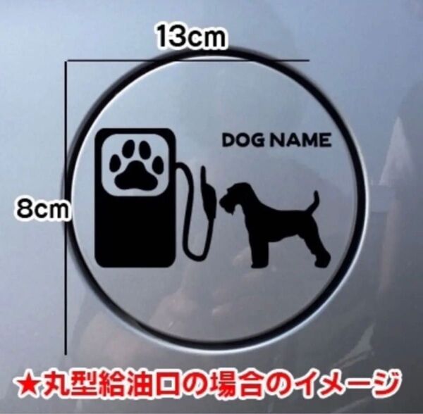 【送料無料】ウェルシュテリア 給油口 ステッカー リアガラス 車 犬