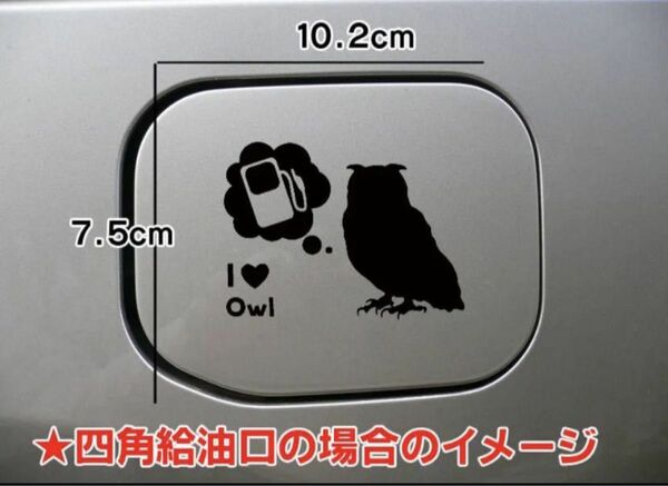 【送料無料】フクロウ ふくろう 梟 給油口 ステッカー 給油口 リアガラス 車