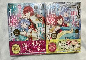 最上級の聖女らしいですが、竜王様の花嫁にはなりません！　追放されたので薬師として第二の人生を謳歌します 特典SS等なし