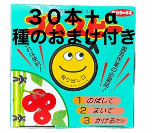 サカタのタネ ゴムスビー　３０本　絹さやの種おまけ付き