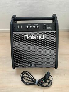 Roland PM-100 モニター　スピーカー　アンプ V-Drums 電子ドラム　用 ローランド